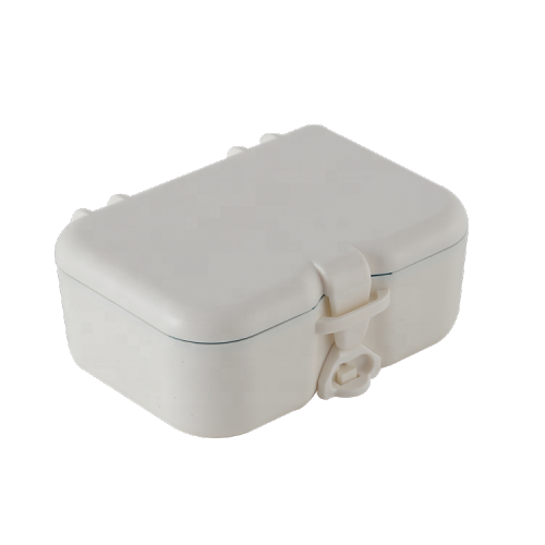 Plastic Dental Mirror Denture Storage Box with brush